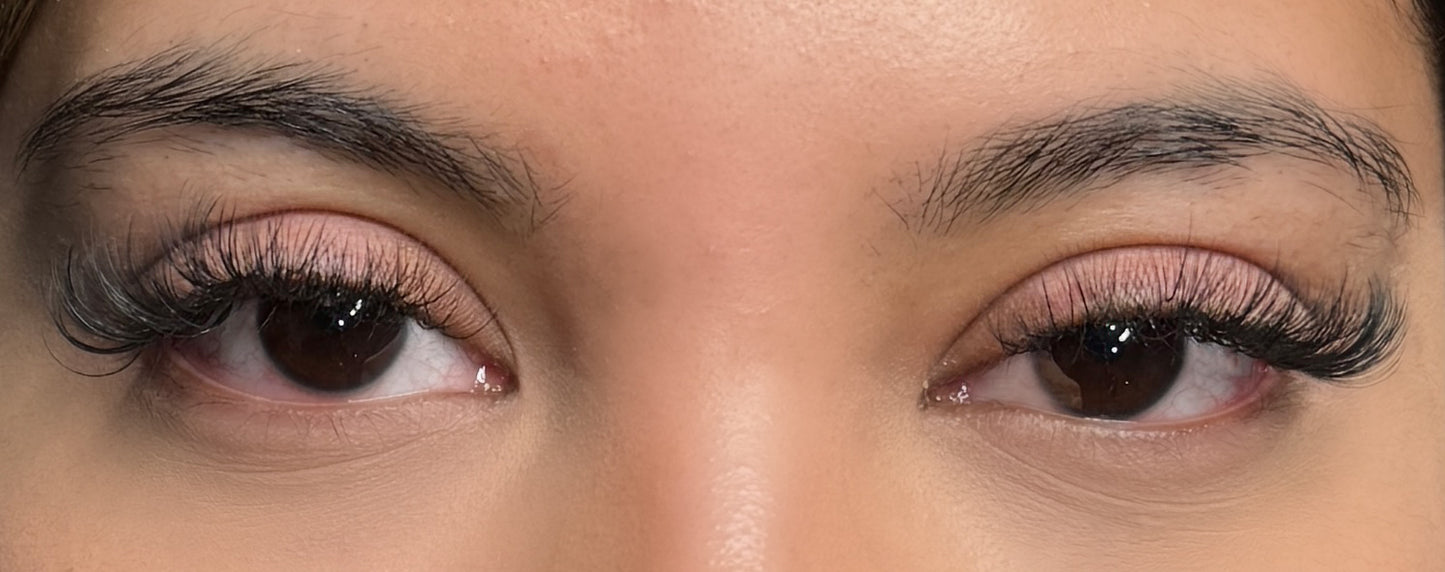 Lash Cheat Sheet